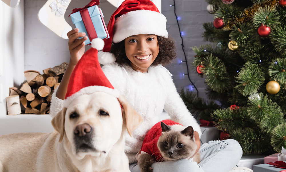 Girl with her cat and dog at the Christmas Tree