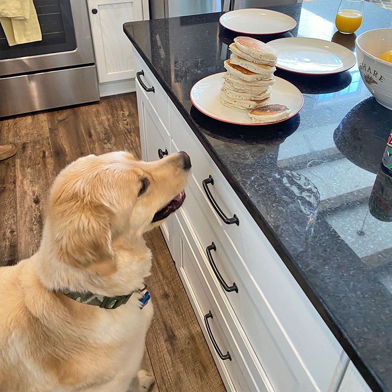 Learning to Use the Scratching Post
